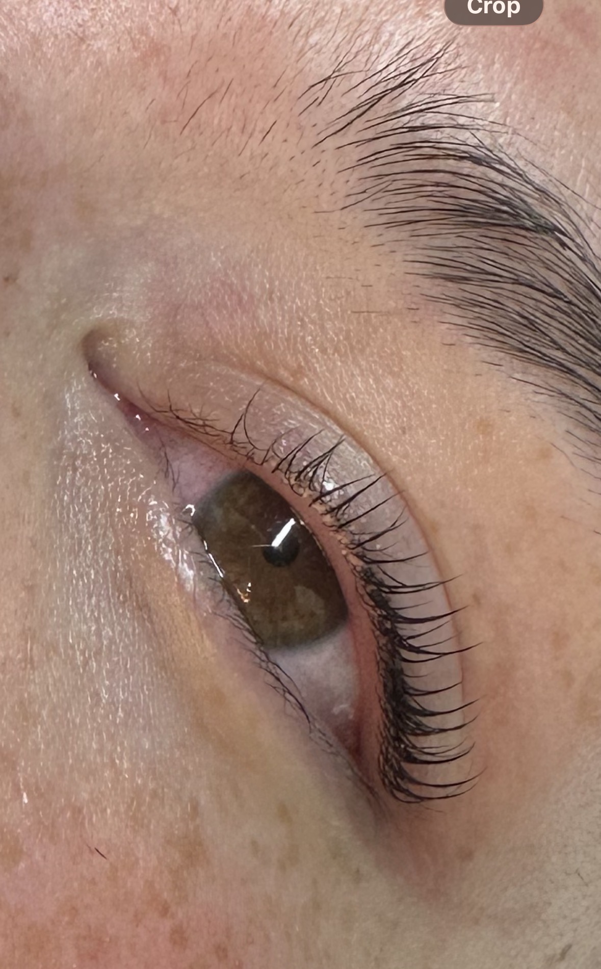 Detailed lash lift result
